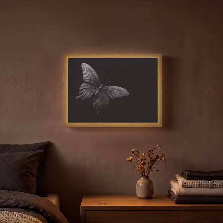 Vlinder - Zwart - Insect - Dieren Light Box met batterij (Wandlamp) middel -sfeer4