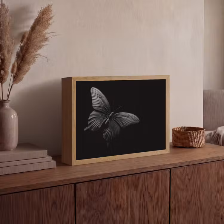 Vlinder - Zwart - Insect - Dieren Light Box met batterij (Wandlamp) middel -sfeer2