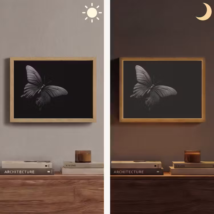 Vlinder - Zwart - Insect - Dieren Light Box met batterij (Wandlamp) middel -sfeer3