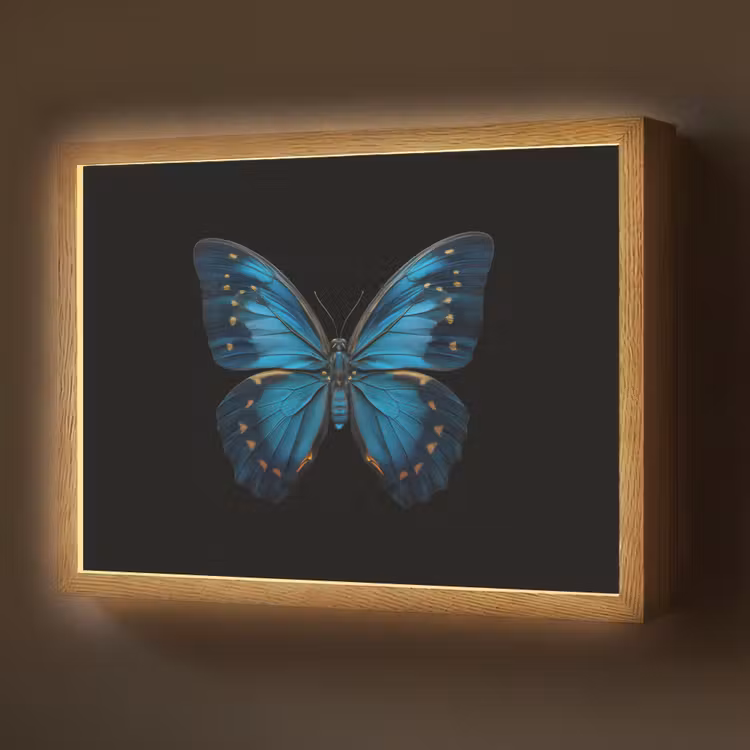 Vlinder - Blauw - Contrast Light Box met batterij (Wandlamp) middel -z3d_website