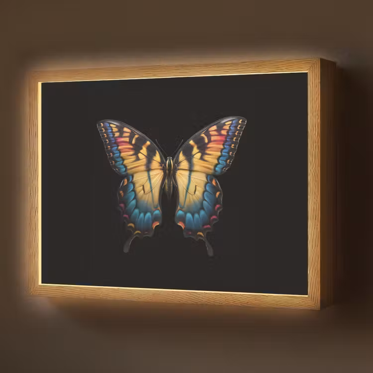 Vlinder - Kleurrijk - Speels Light Box met batterij (Wandlamp) middel -z3d_website