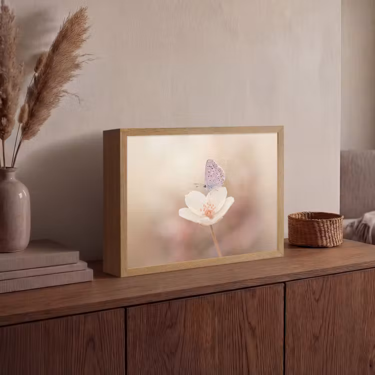 Vlinder - Bloem - Blauw Light Box met batterij (Wandlamp) middel -sfeer2