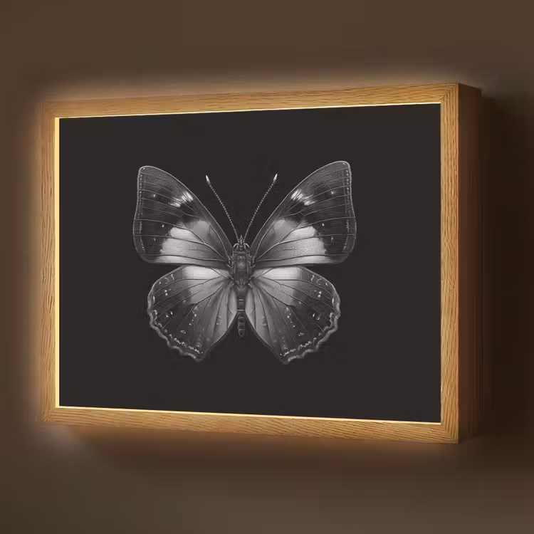Vlinder - Grijs - Mysterieus Light Box met batterij (Wandlamp) middel -z3d_website