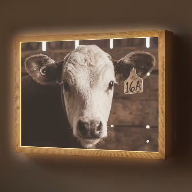 Kalf - Oormerk - Houten stal Light Box met batterij (Wandlamp) middel -z3d_website