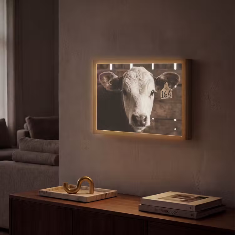 Kalf - Oormerk - Houten stal Light Box met batterij (Wandlamp) middel -sfeer1
