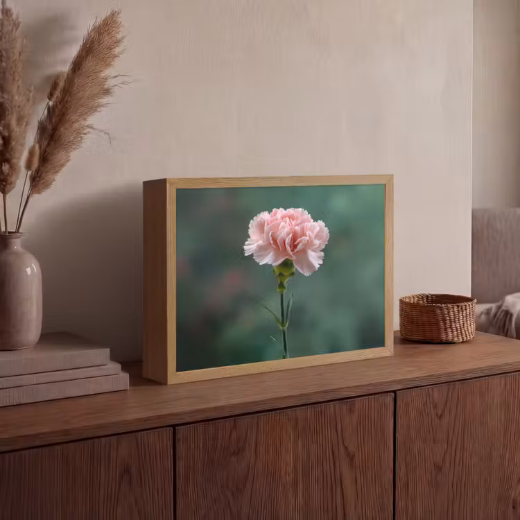 Anjer - Roze - Bloemblaadjes Light Box met batterij (Wandlamp) middel -sfeer2