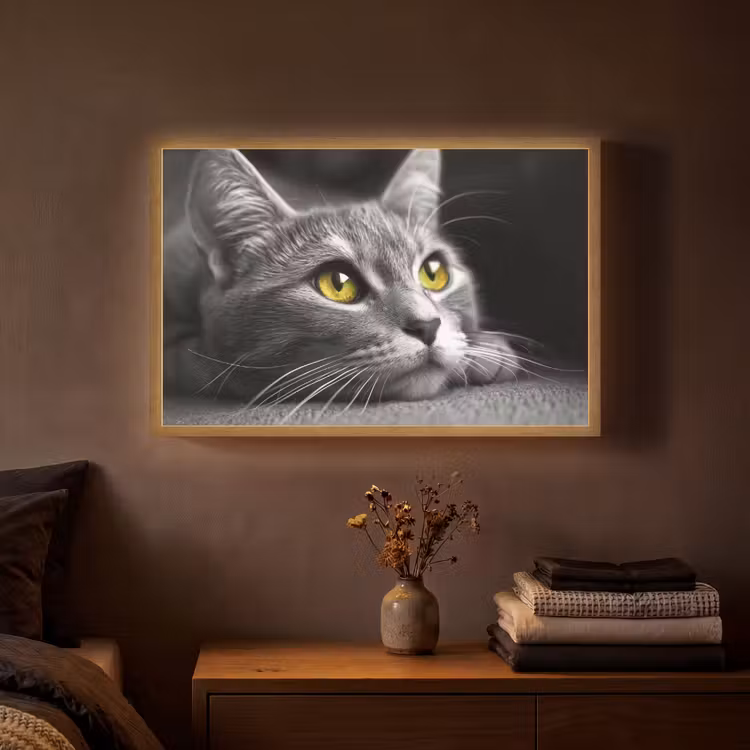 Kat - Zwart - Wit - Dieren - Natuur Light Box met batterij (Wandlamp) middel -sfeer4