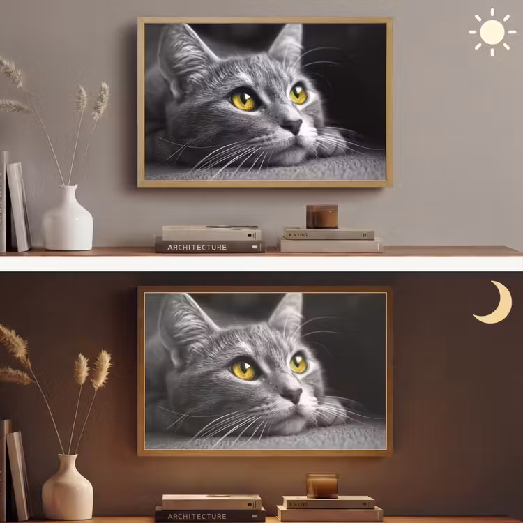 Kat - Zwart - Wit - Dieren - Natuur Light Box met batterij (Wandlamp) middel -sfeer3