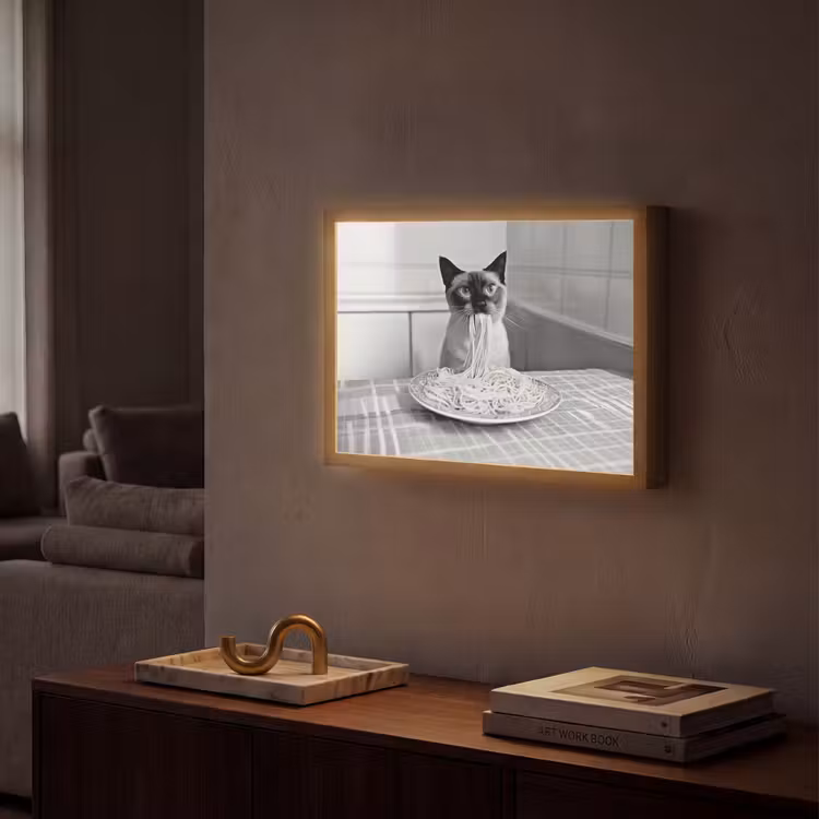 Kat - Siamees - Zwart Wit - Schattig - Dieren Light Box met batterij (Wandlamp) middel -sfeer1