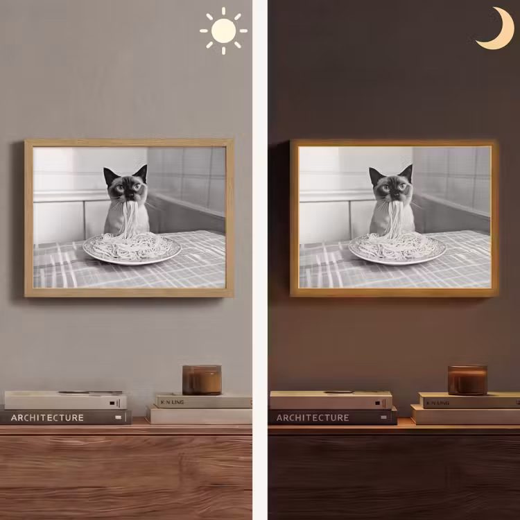 Kat - Siamees - Zwart Wit - Schattig - Dieren Light Box met batterij (Wandlamp) middel -sfeer3