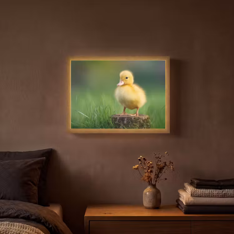 Kuiken - Eend - Geel - Gras Light Box met batterij (Wandlamp) middel -sfeer4