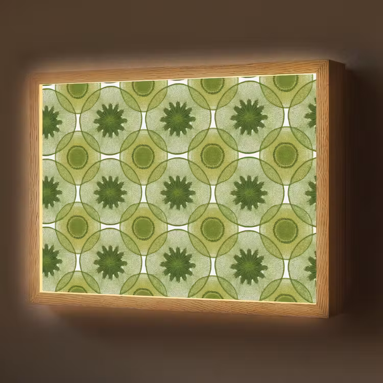 Cirkels - Patroon - Groen Light Box met batterij (Wandlamp) middel 907 -z3d_website