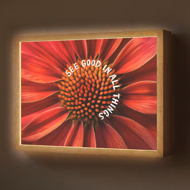Close up - Bloem - Quote - Rood Light Box met batterij (Wandlamp) middel -z3d_website