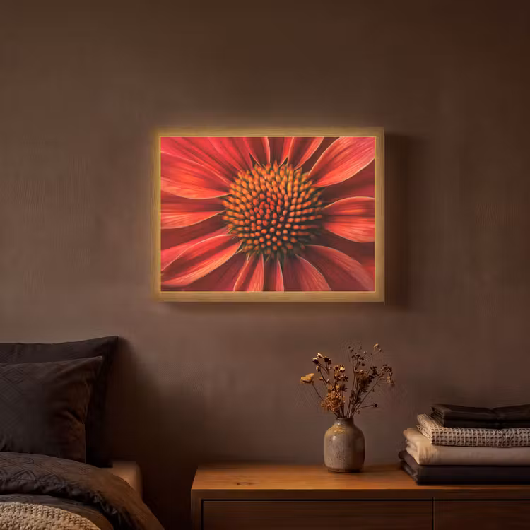 Close up - Bloem- Rood Light Box met batterij (Wandlamp) middel -sfeer4