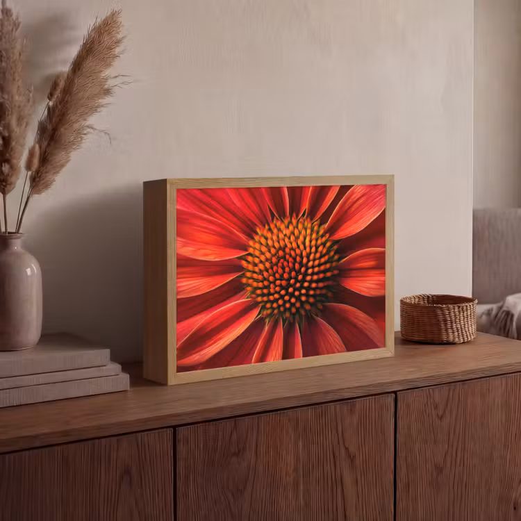 Close up - Bloem- Rood Light Box met batterij (Wandlamp) middel -sfeer2
