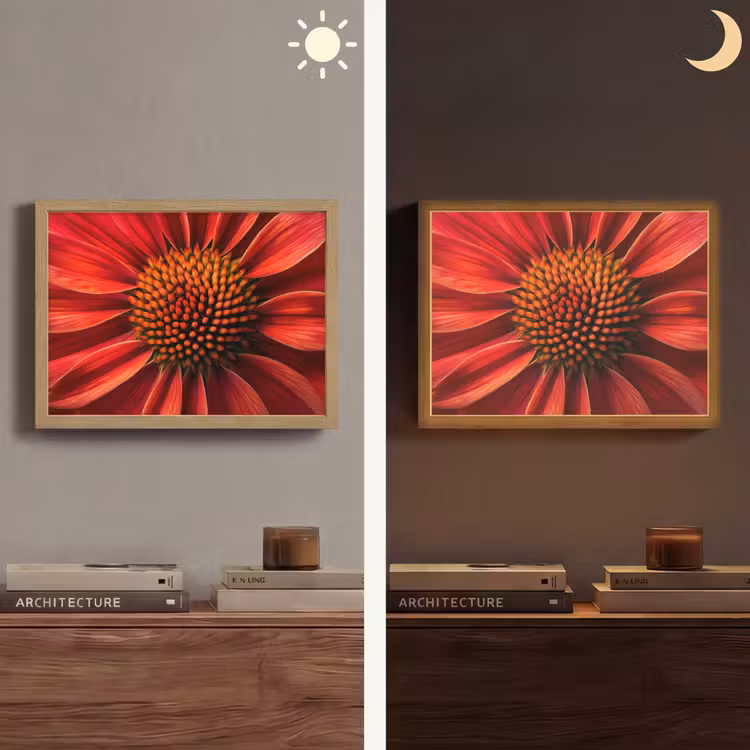 Close up - Bloem- Rood Light Box met batterij (Wandlamp) middel -sfeer3