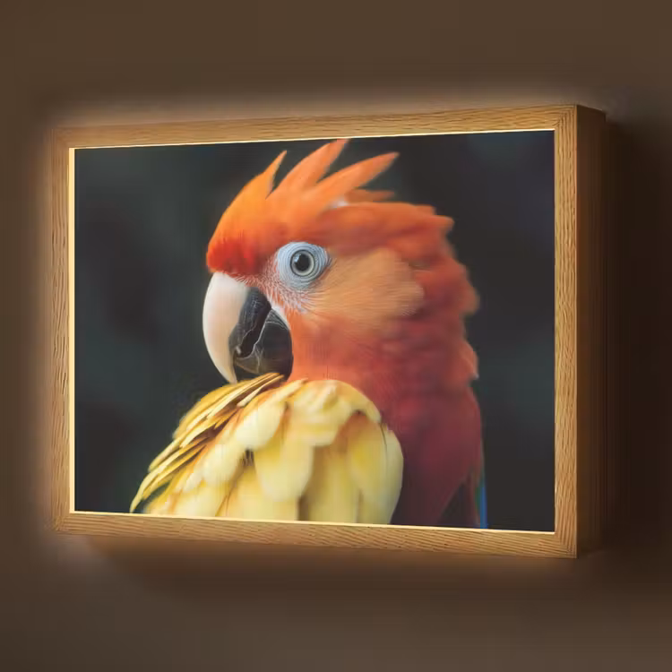 Close-up - Papegaai - Veren - Oranje Light Box met batterij (Wandlamp) middel -z3d_website
