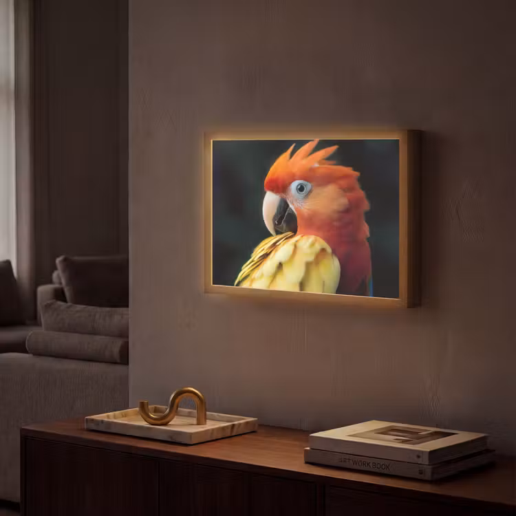 Close-up - Papegaai - Veren - Oranje Light Box met batterij (Wandlamp) middel -sfeer1