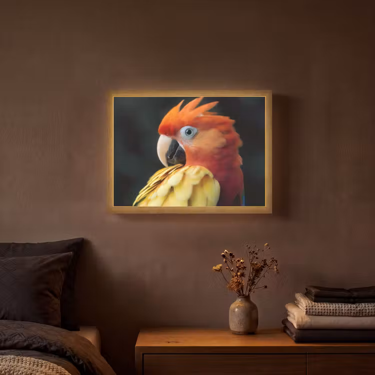 Close-up - Papegaai - Veren - Oranje Light Box met batterij (Wandlamp) middel -sfeer4