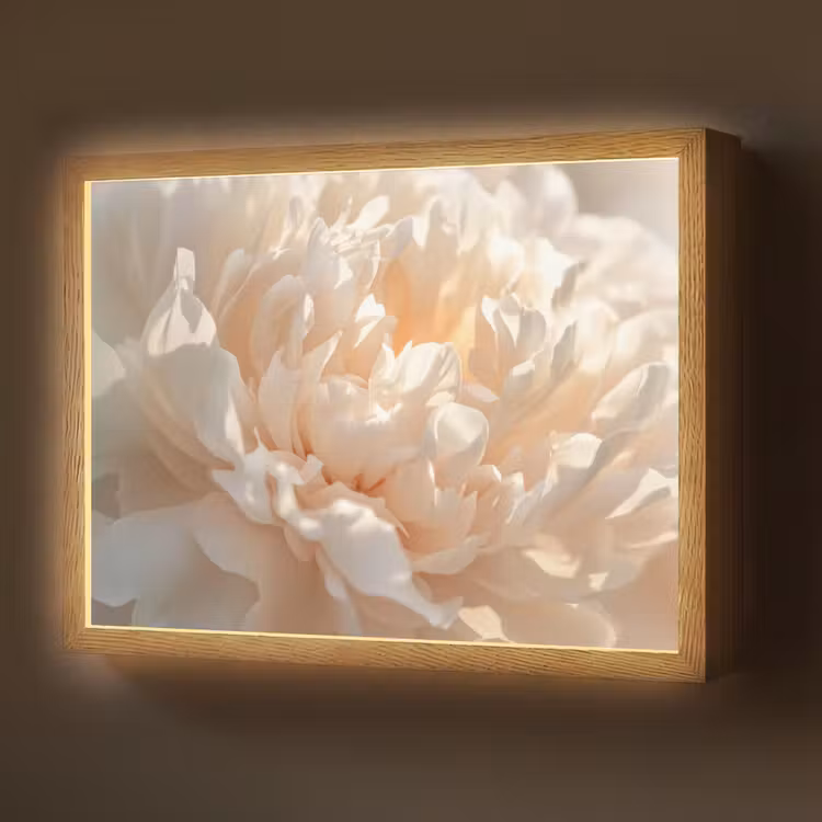 Close up - Pioenroos - Lichtroze Light Box met batterij (Wandlamp) middel -z3d_website