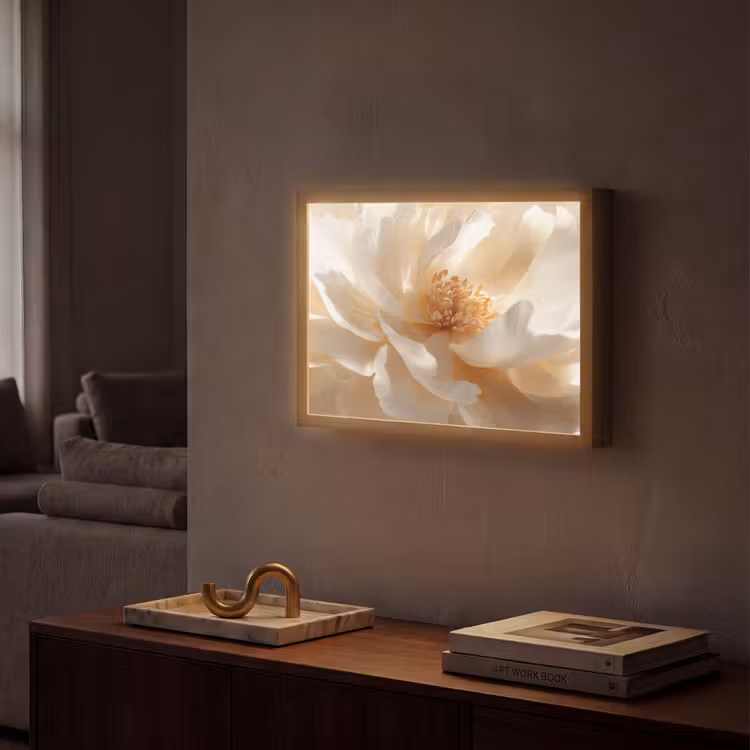 Close up - Pioenroos - Wit Light Box met batterij (Wandlamp) middel -sfeer1