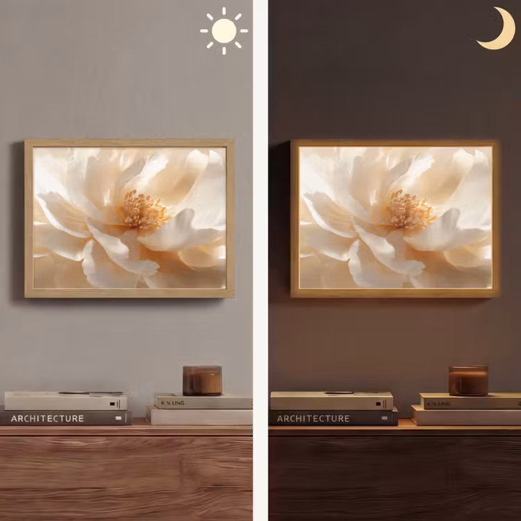 Close up - Pioenroos - Wit Light Box met batterij (Wandlamp) middel -sfeer3