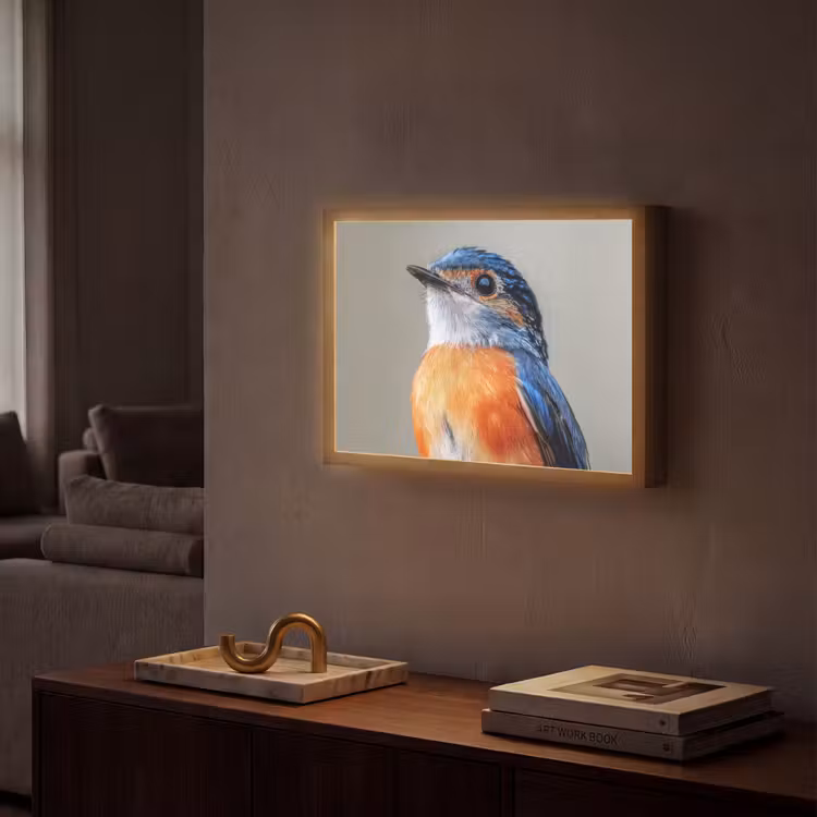 Kleurrijk - Vogeltje - Veren - Blauw Light Box met batterij (Wandlamp) middel -sfeer1