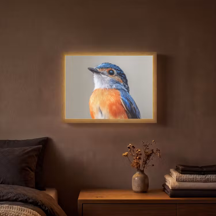 Kleurrijk - Vogeltje - Veren - Blauw Light Box met batterij (Wandlamp) middel -sfeer4