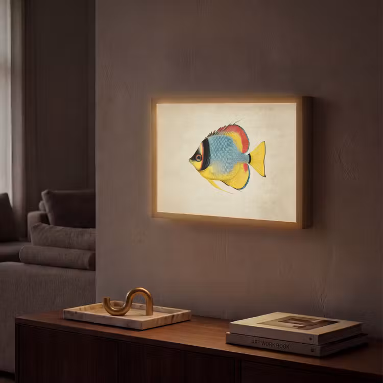 Kleurrijk - Vis - Schubben - Illustratie Light Box met batterij (Wandlamp) middel -sfeer1