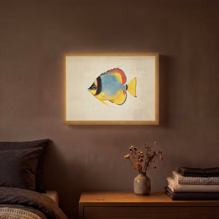 Kleurrijk - Vis - Schubben - Illustratie Light Box met batterij (Wandlamp) middel -sfeer4