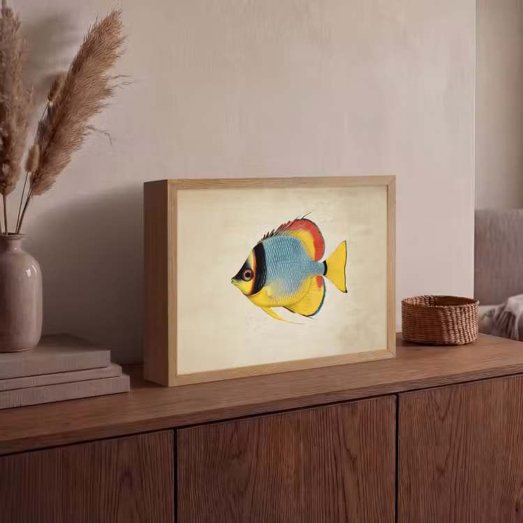 Kleurrijk - Vis - Schubben - Illustratie Light Box met batterij (Wandlamp) middel -sfeer2
