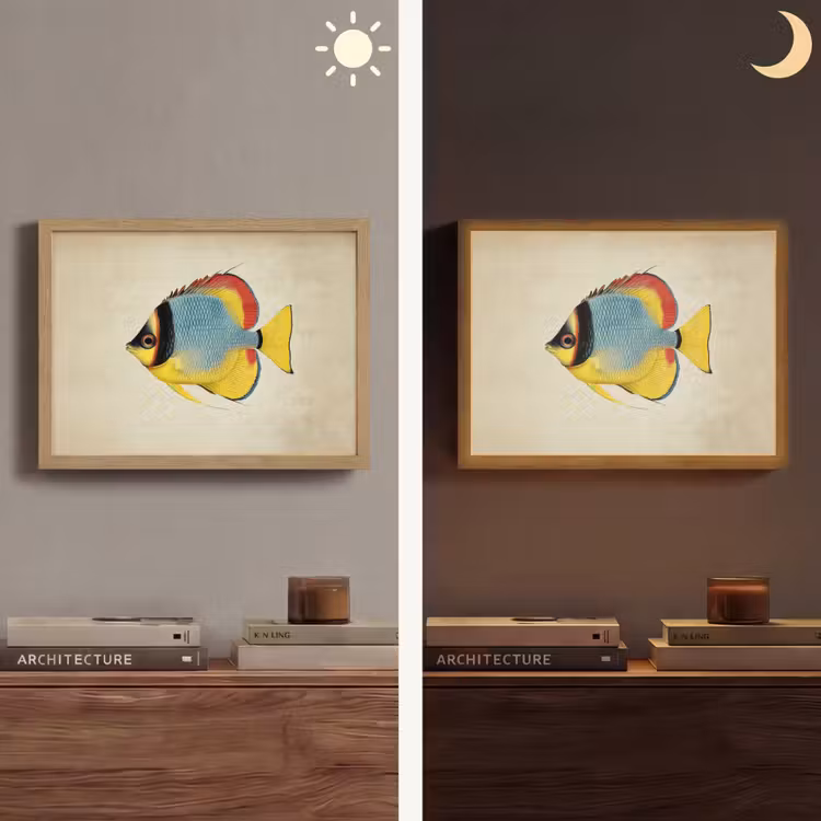 Kleurrijk - Vis - Schubben - Illustratie Light Box met batterij (Wandlamp) middel -sfeer3