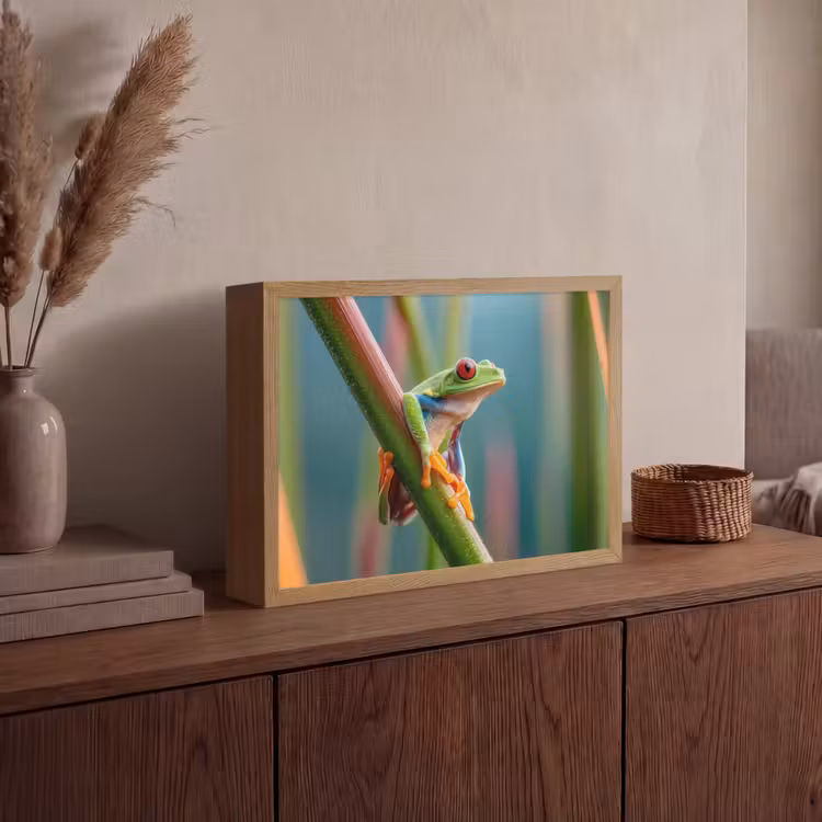 Kleurrijke kikker - Groene stengel - Alert Light Box met batterij (Wandlamp) middel -sfeer2