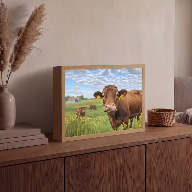 Koe - Weide - Bloemen Light Box met batterij (Wandlamp) middel -sfeer2