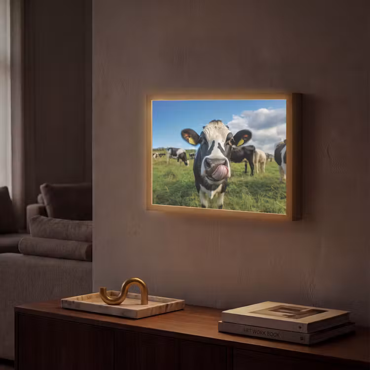 Koe - Tong - Weide Light Box met batterij (Wandlamp) middel -sfeer1