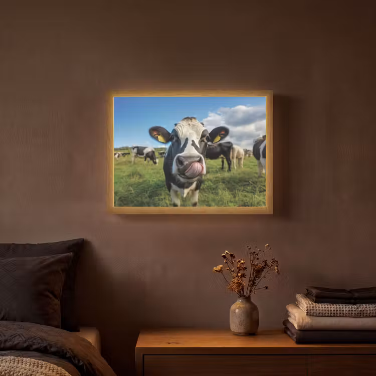 Koe - Tong - Weide Light Box met batterij (Wandlamp) middel -sfeer4