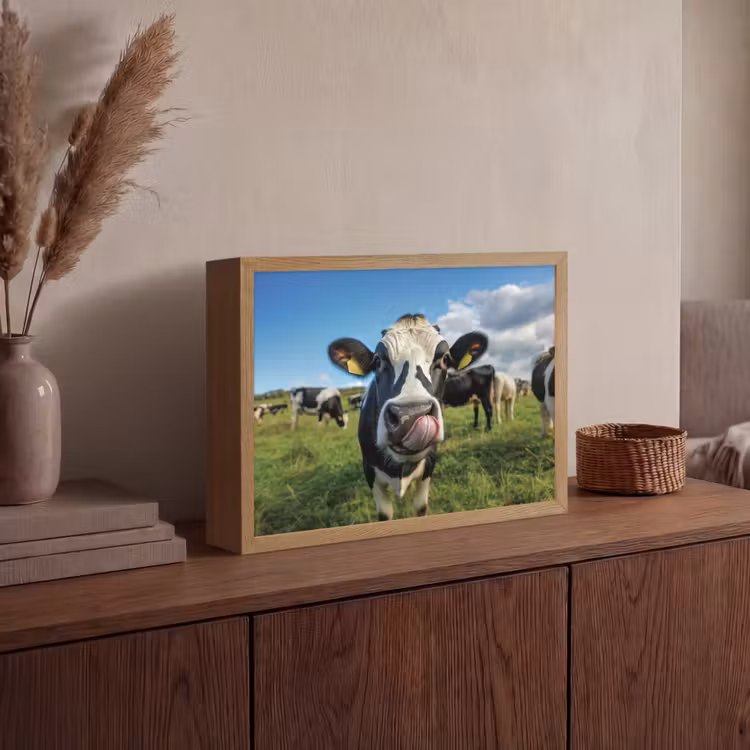 Koe - Tong - Weide Light Box met batterij (Wandlamp) middel -sfeer2
