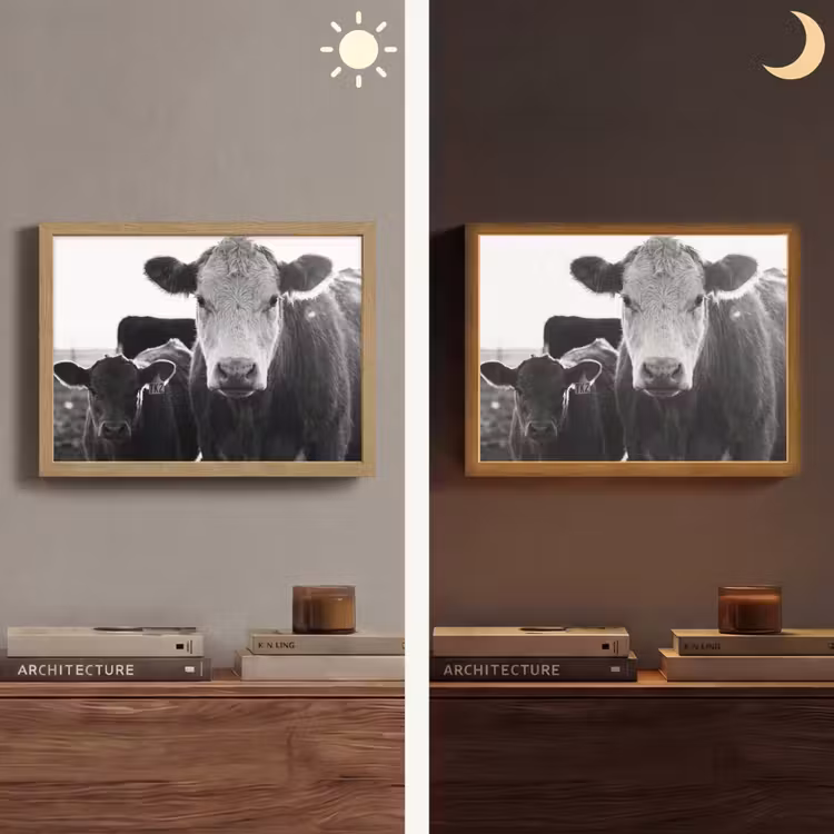 Koeien - Zwart - Wit Light Box met batterij (Wandlamp) middel -sfeer3