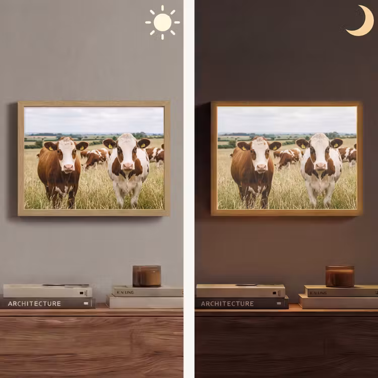 Koeien - Portret - Weide - Boerderij - Nieuwsgierig Light Box met batterij (Wandlamp) middel -sfeer3
