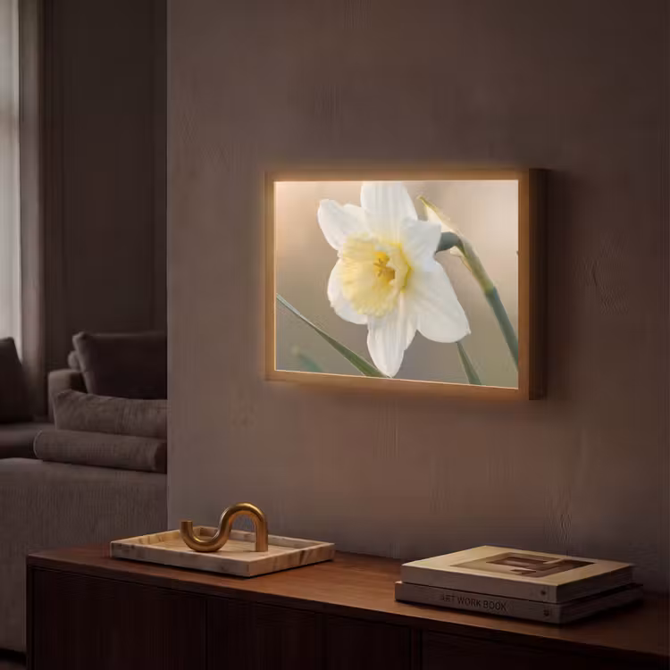Narcis - Bloem - Minimalistisch Light Box met batterij (Wandlamp) middel -sfeer1