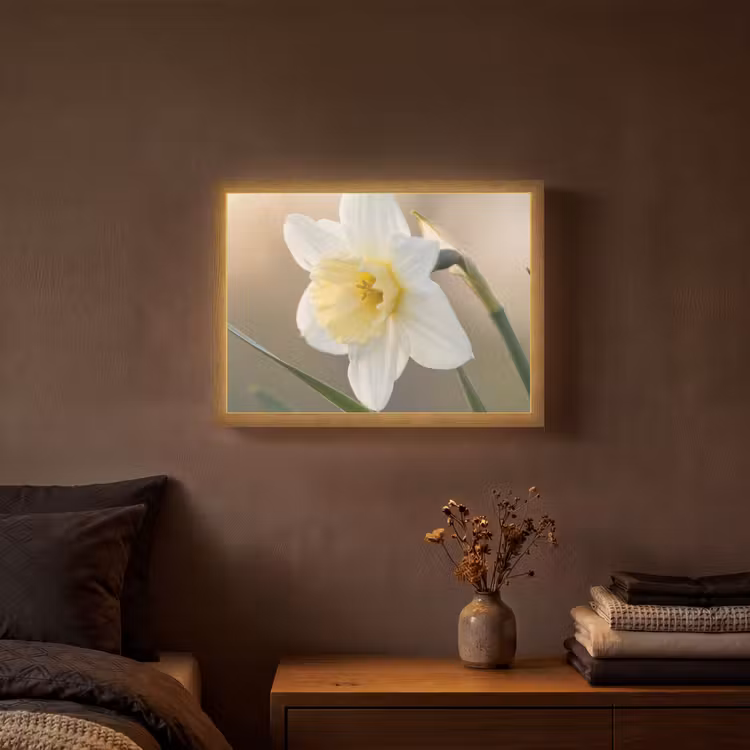 Narcis - Bloem - Minimalistisch Light Box met batterij (Wandlamp) middel -sfeer4