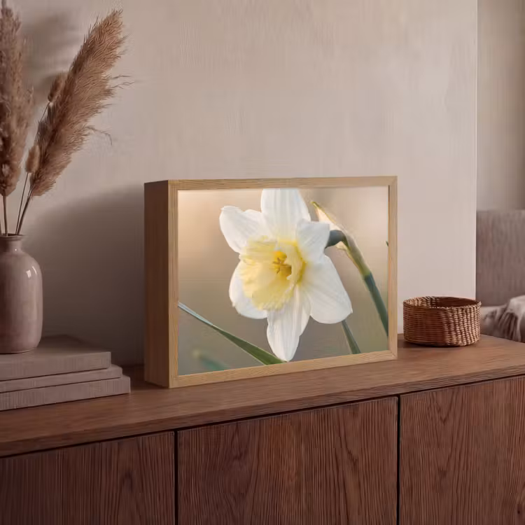Narcis - Bloem - Minimalistisch Light Box met batterij (Wandlamp) middel -sfeer2