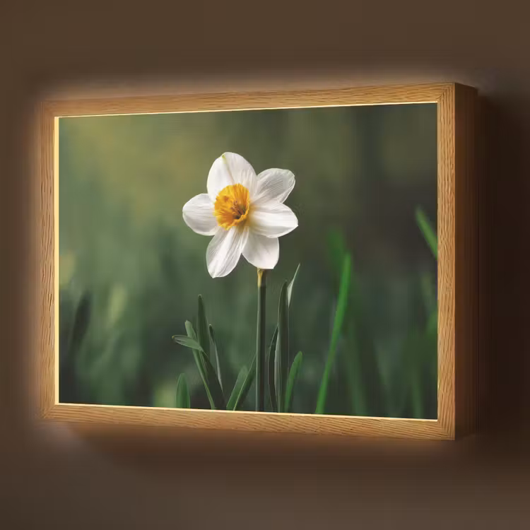 Narcis - Bloem - Wit - Grassprieten Light Box met batterij (Wandlamp) middel -z3d_website