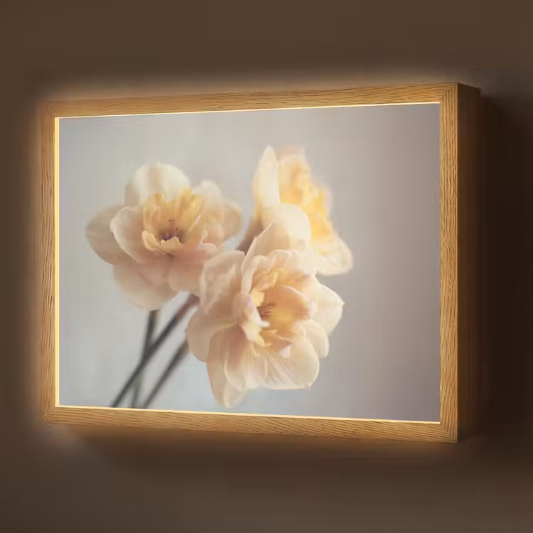 Narcissen - Geel - Bloemblaadjes Light Box met batterij (Wandlamp) middel -z3d_website