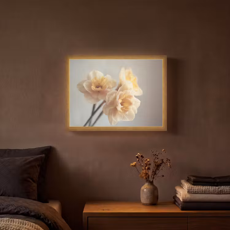 Narcissen - Geel - Bloemblaadjes Light Box met batterij (Wandlamp) middel -sfeer4