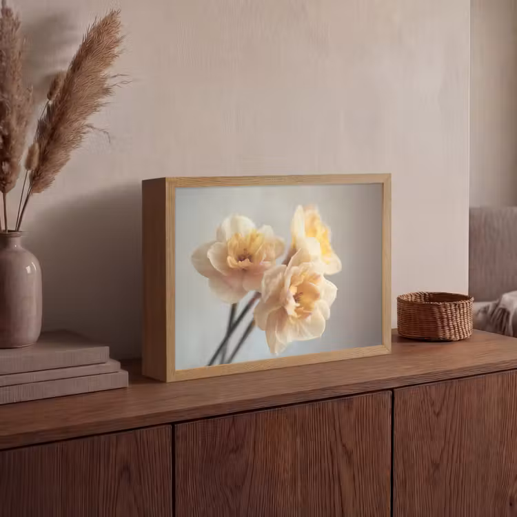 Narcissen - Geel - Bloemblaadjes Light Box met batterij (Wandlamp) middel -sfeer2