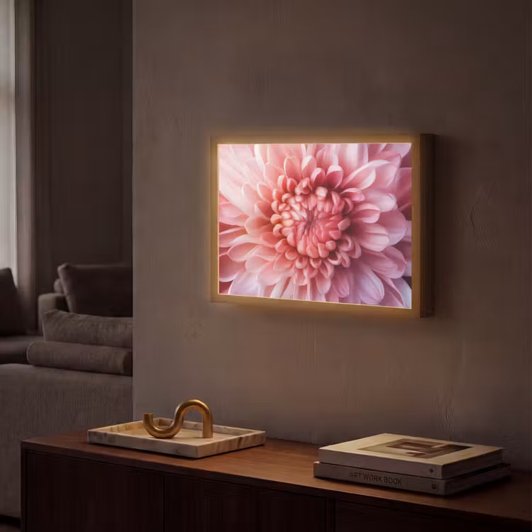 Dahlia - Bloem - Close up - Roze Light Box met batterij (Wandlamp) middel -sfeer1