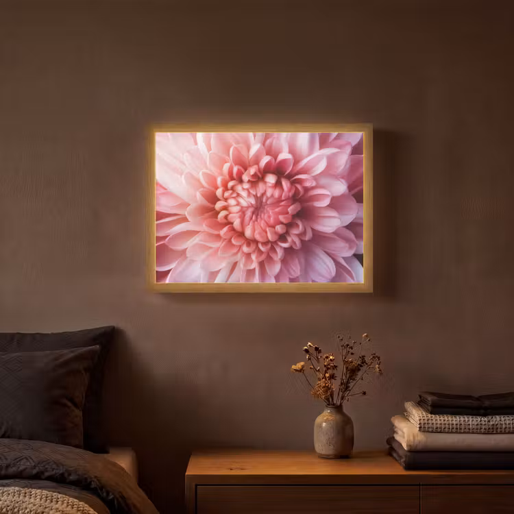 Dahlia - Bloem - Close up - Roze Light Box met batterij (Wandlamp) middel -sfeer4
