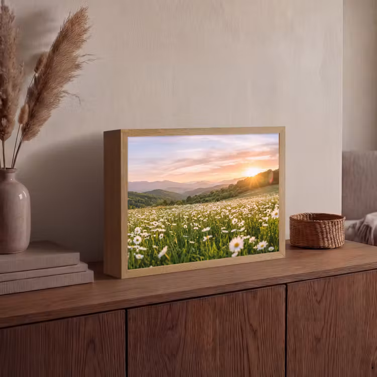 Madelief - Veld - Heuvels - Groen Light Box met batterij (Wandlamp) middel -sfeer2