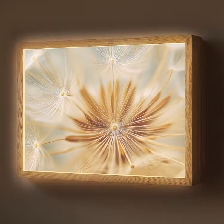 Paardenbloem - Beige - Abstract - Modern - Natuur Light Box met batterij (Wandlamp) middel -z3d_website